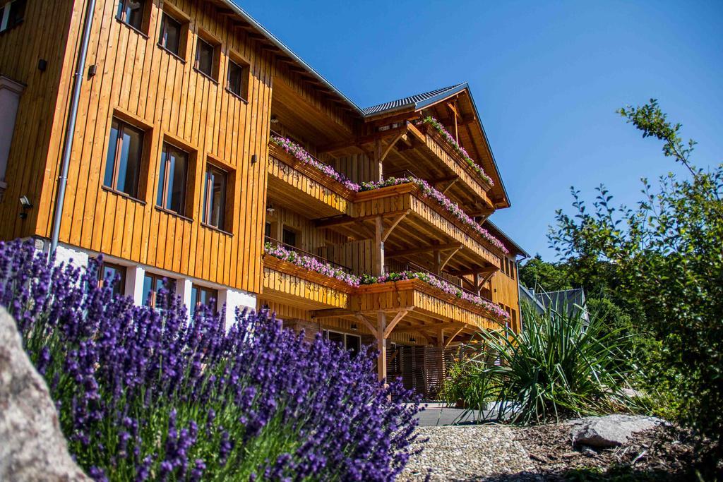 Les Gites D'Adelspach Gites & Spa En Alsace Aubure Ngoại thất bức ảnh