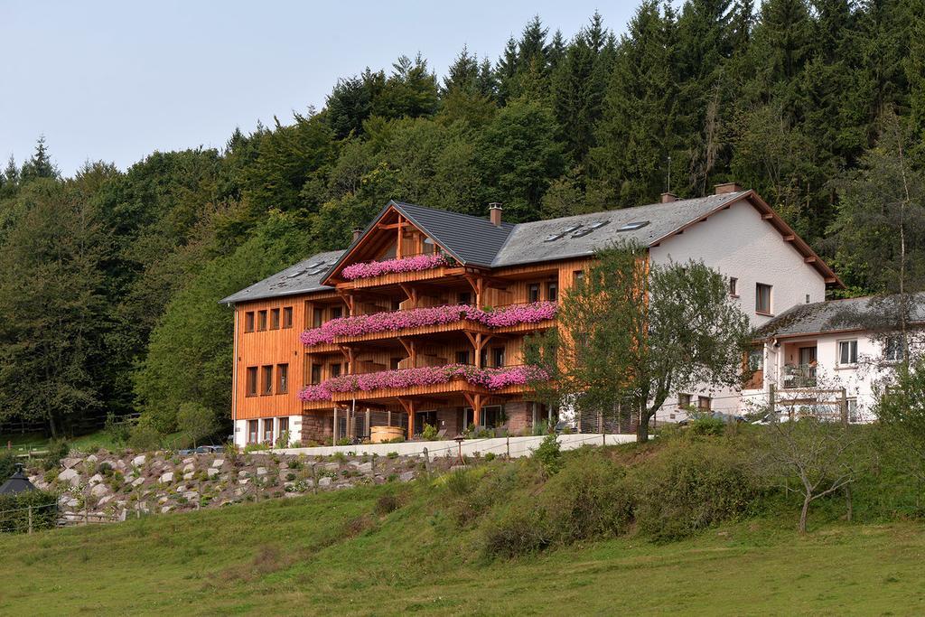 Les Gites D'Adelspach Gites & Spa En Alsace Aubure Ngoại thất bức ảnh