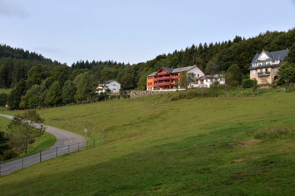 Les Gites D'Adelspach Gites & Spa En Alsace Aubure Ngoại thất bức ảnh