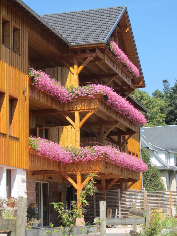 Les Gites D'Adelspach Gites & Spa En Alsace Aubure Ngoại thất bức ảnh